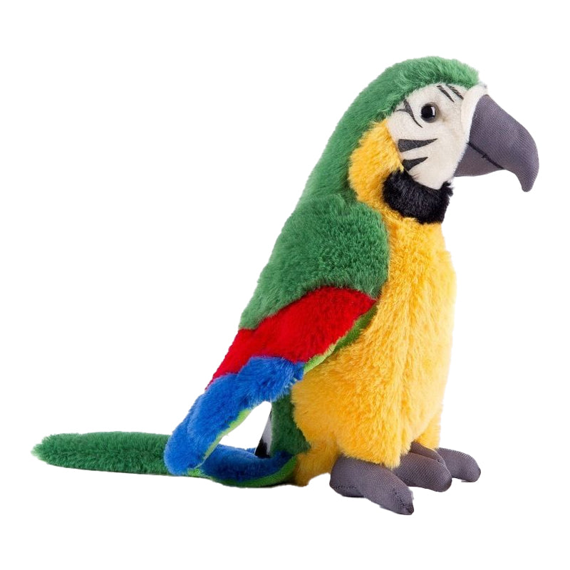 Interactive Parrot Toy Mimics Voices and Boosts Early Speech Skills
