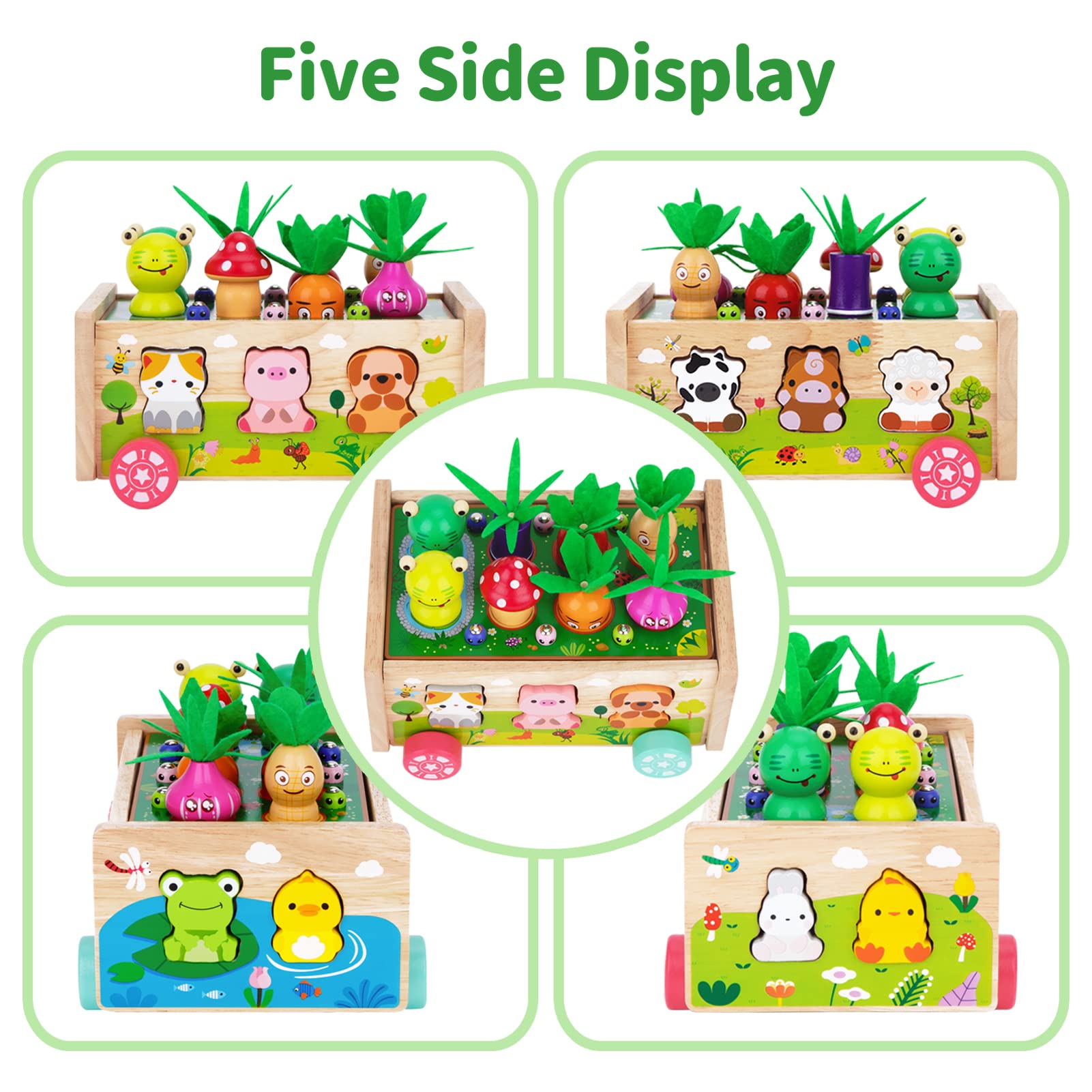 Montessori Wooden Carrot Toy, Sorting Game with Animals & Storage Box